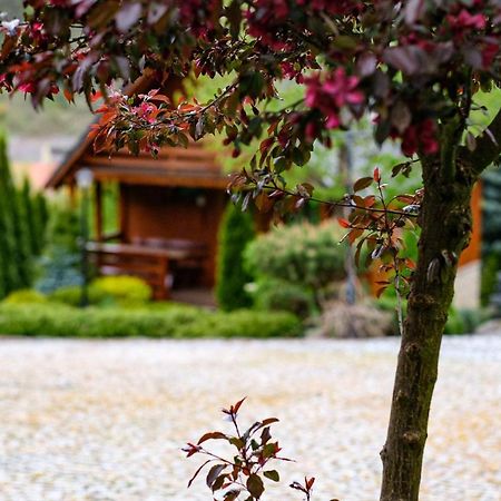 Domki U Basi Villa Kudowa-Zdrój Buitenkant foto