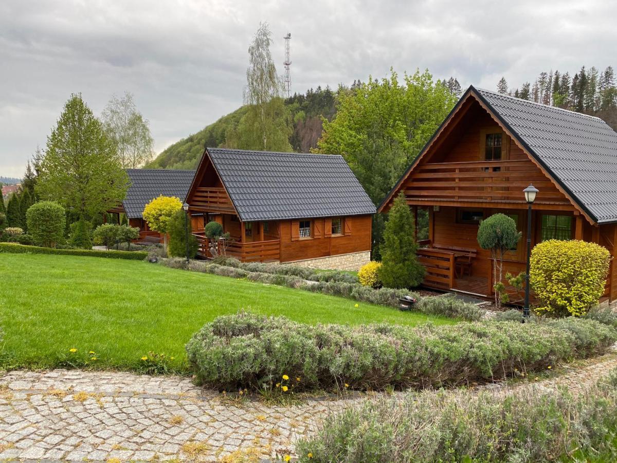 Domki U Basi Villa Kudowa-Zdrój Buitenkant foto