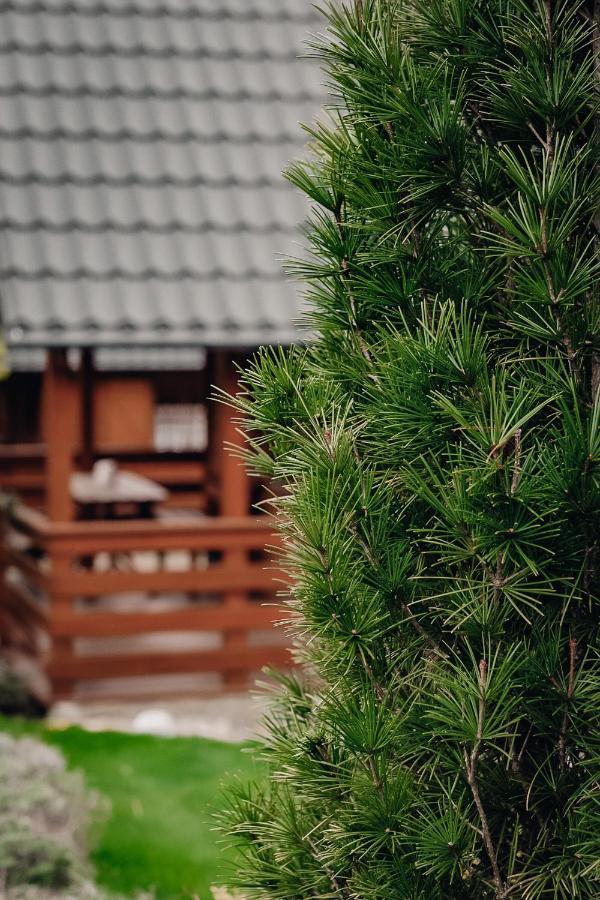 Domki U Basi Kudowa-Zdrój Buitenkant foto