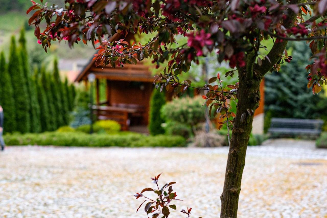 Domki U Basi Villa Kudowa-Zdrój Buitenkant foto